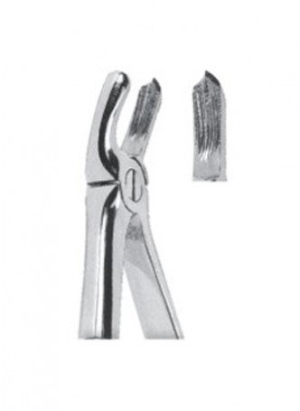 Extracting Forceps